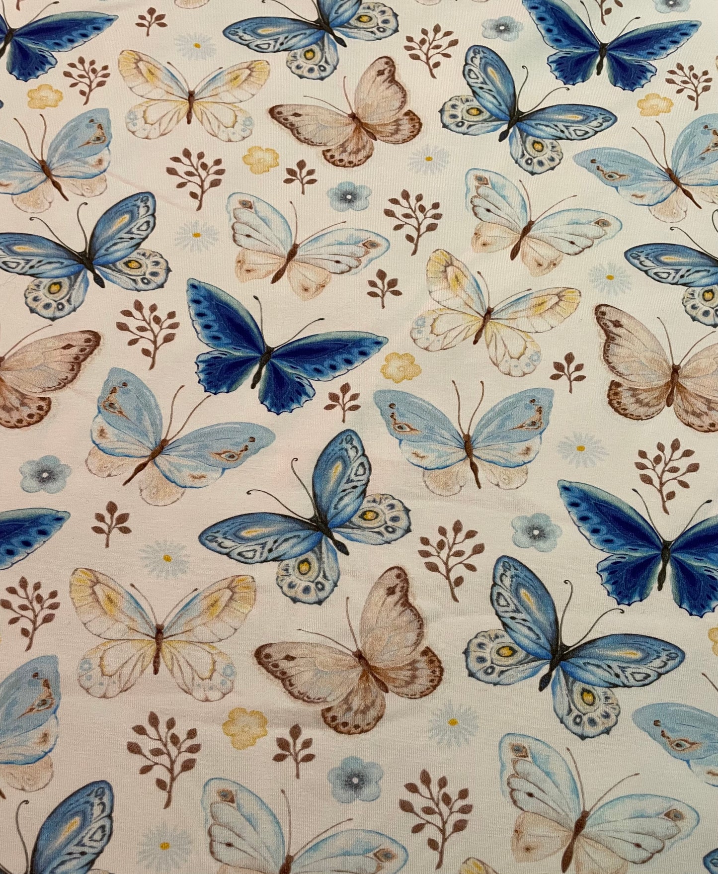 Butterflies on white