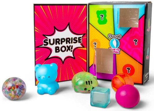 Scrunchems 6pc surprise box!