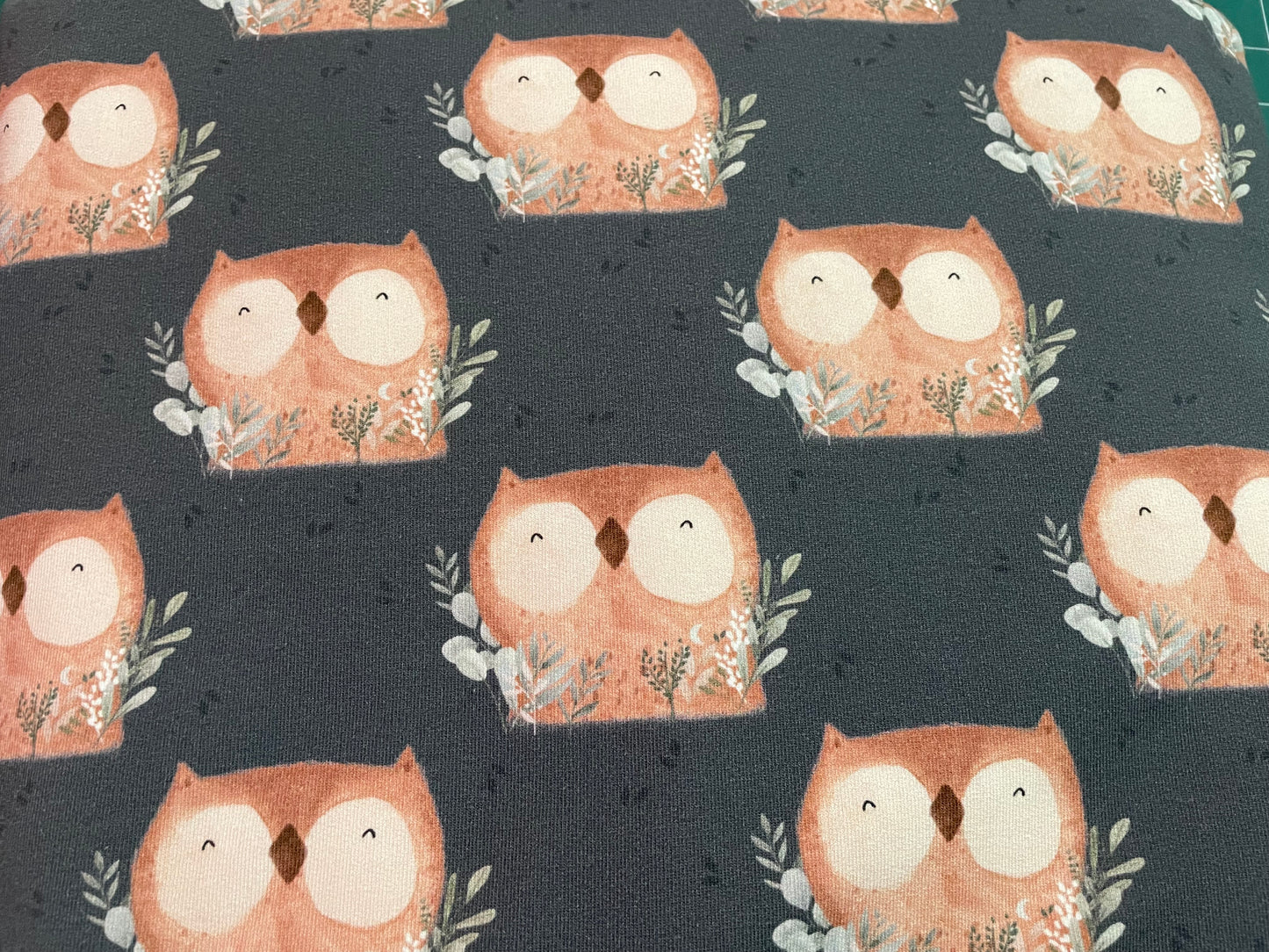 Owl