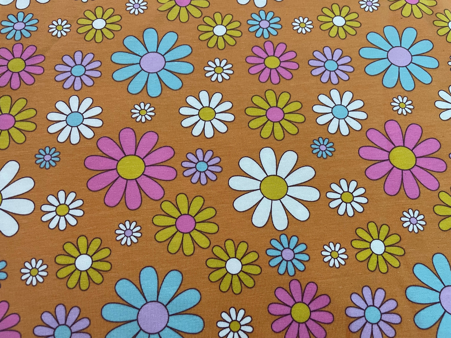 Daisies on orange