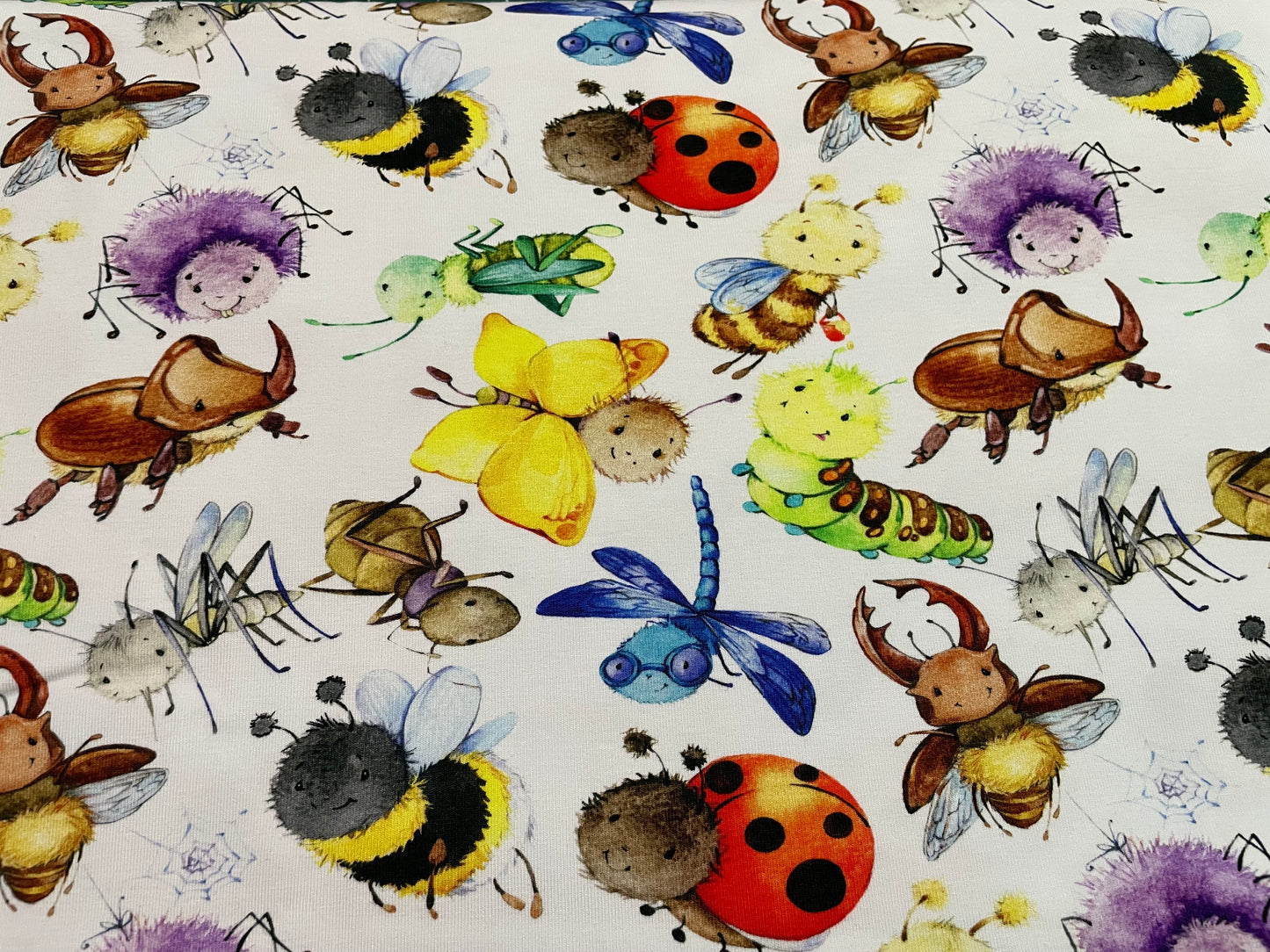 Bugs