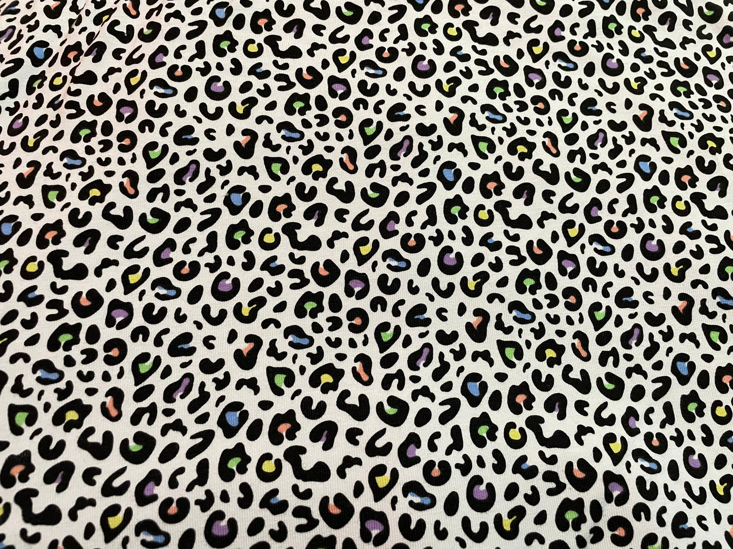 Multicoloured leopard on white