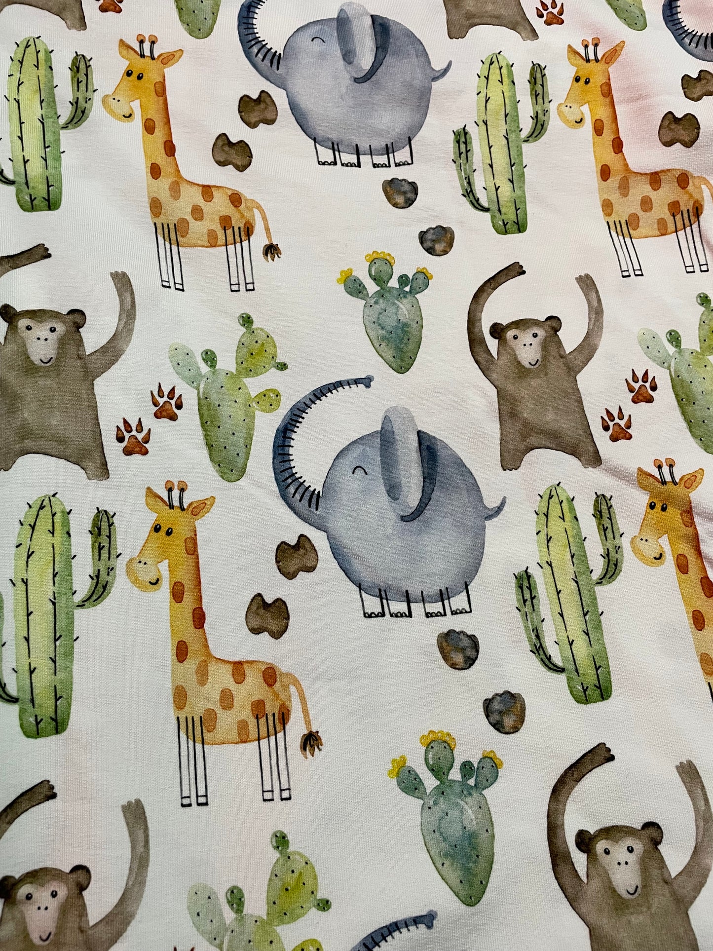 Safari animals on white