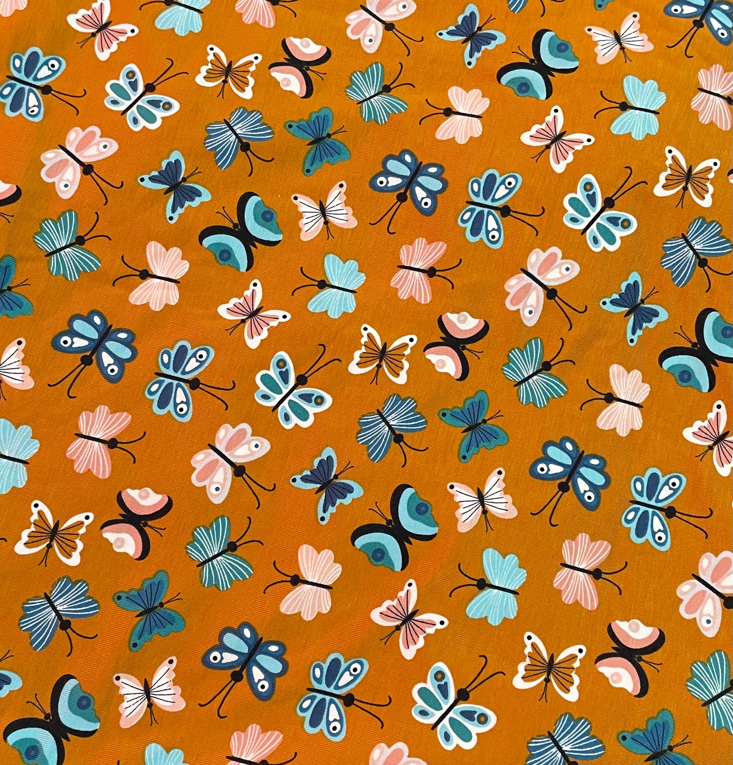 Mustard butterflies