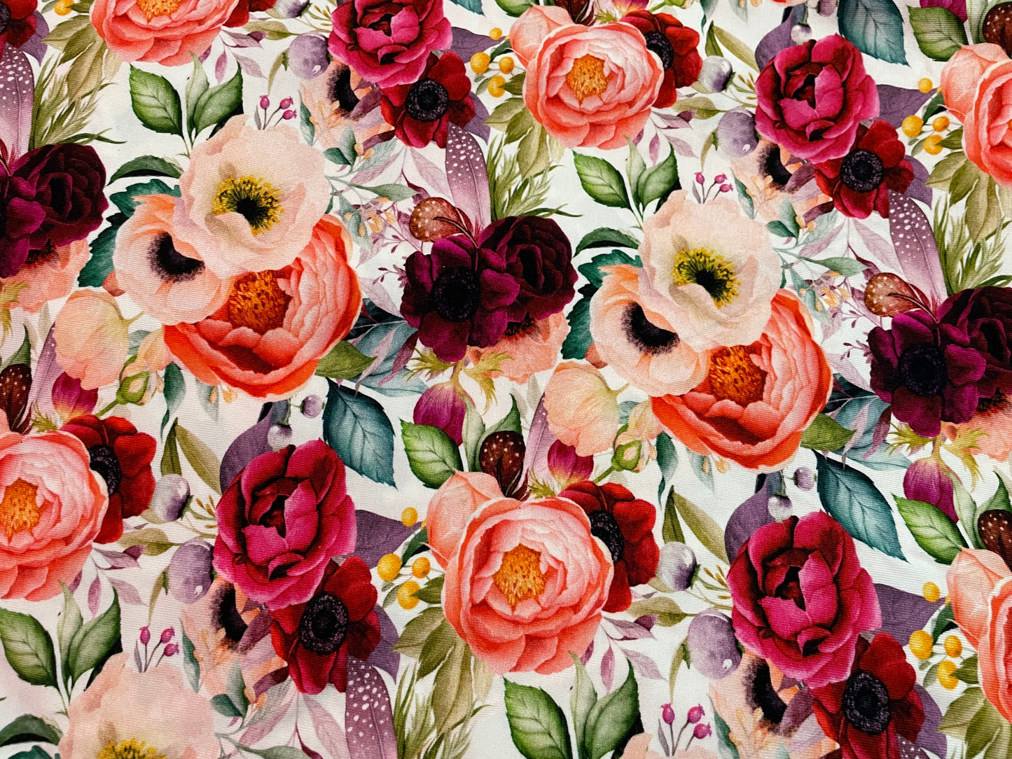 Beautiful roses 5y+
