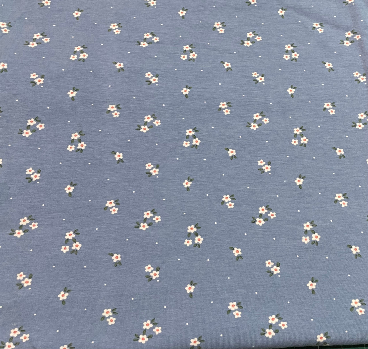 Dainty floral on blue 5y+