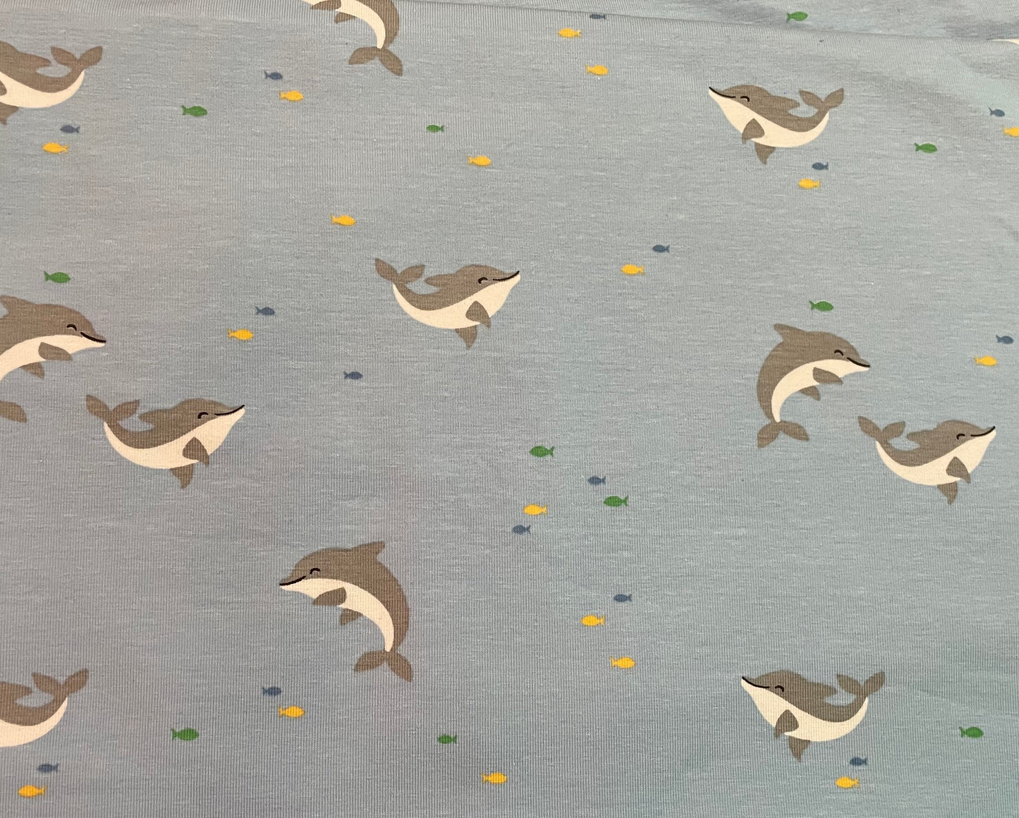 Dolphins blue