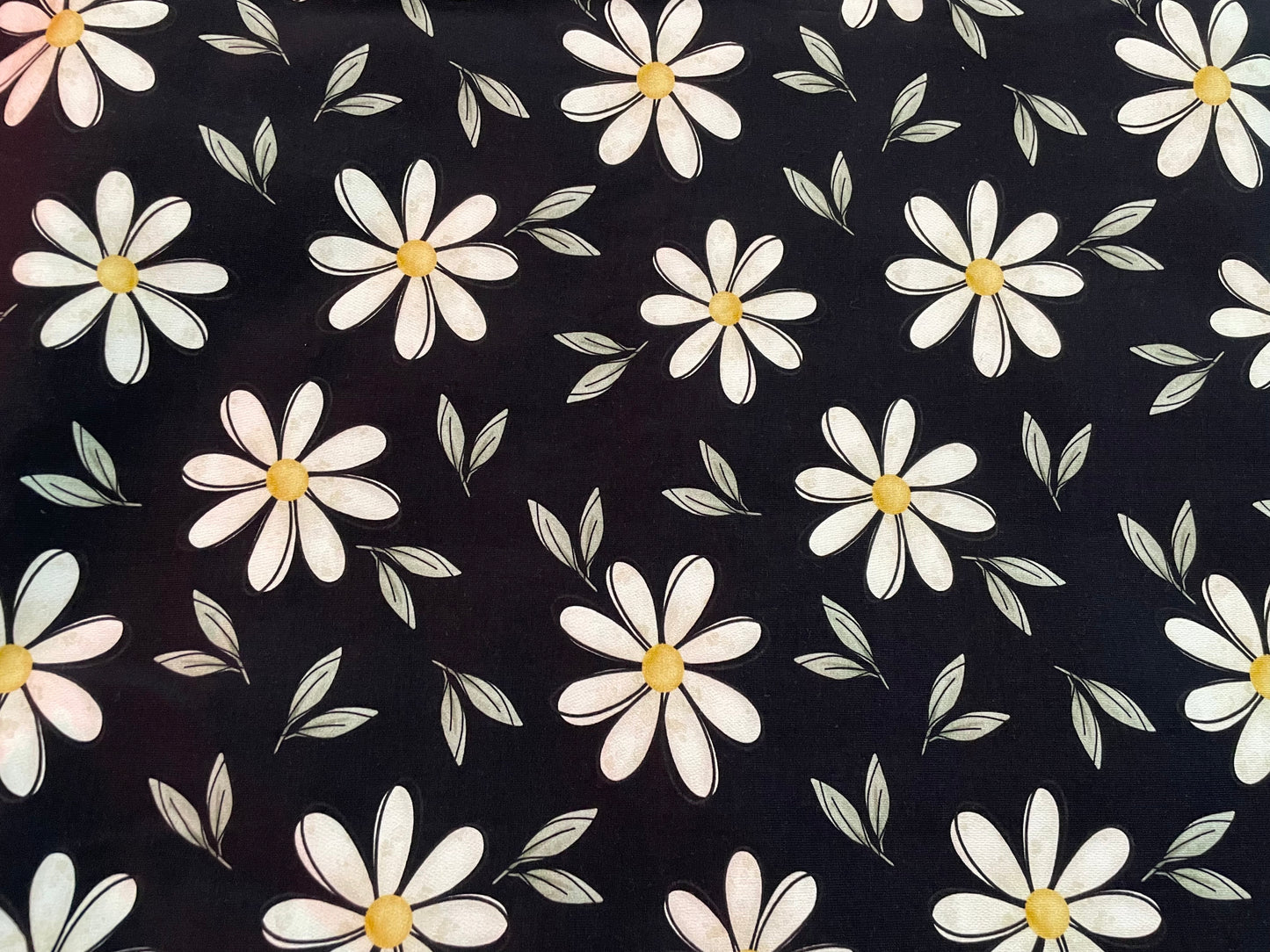 Daisies on black 5y+