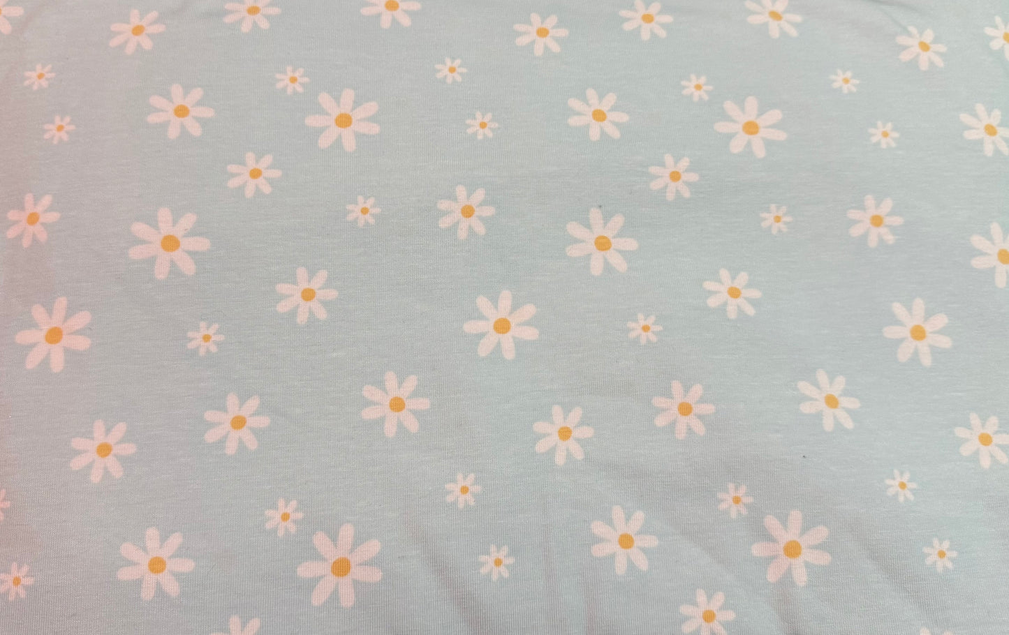 Daisies on blue
