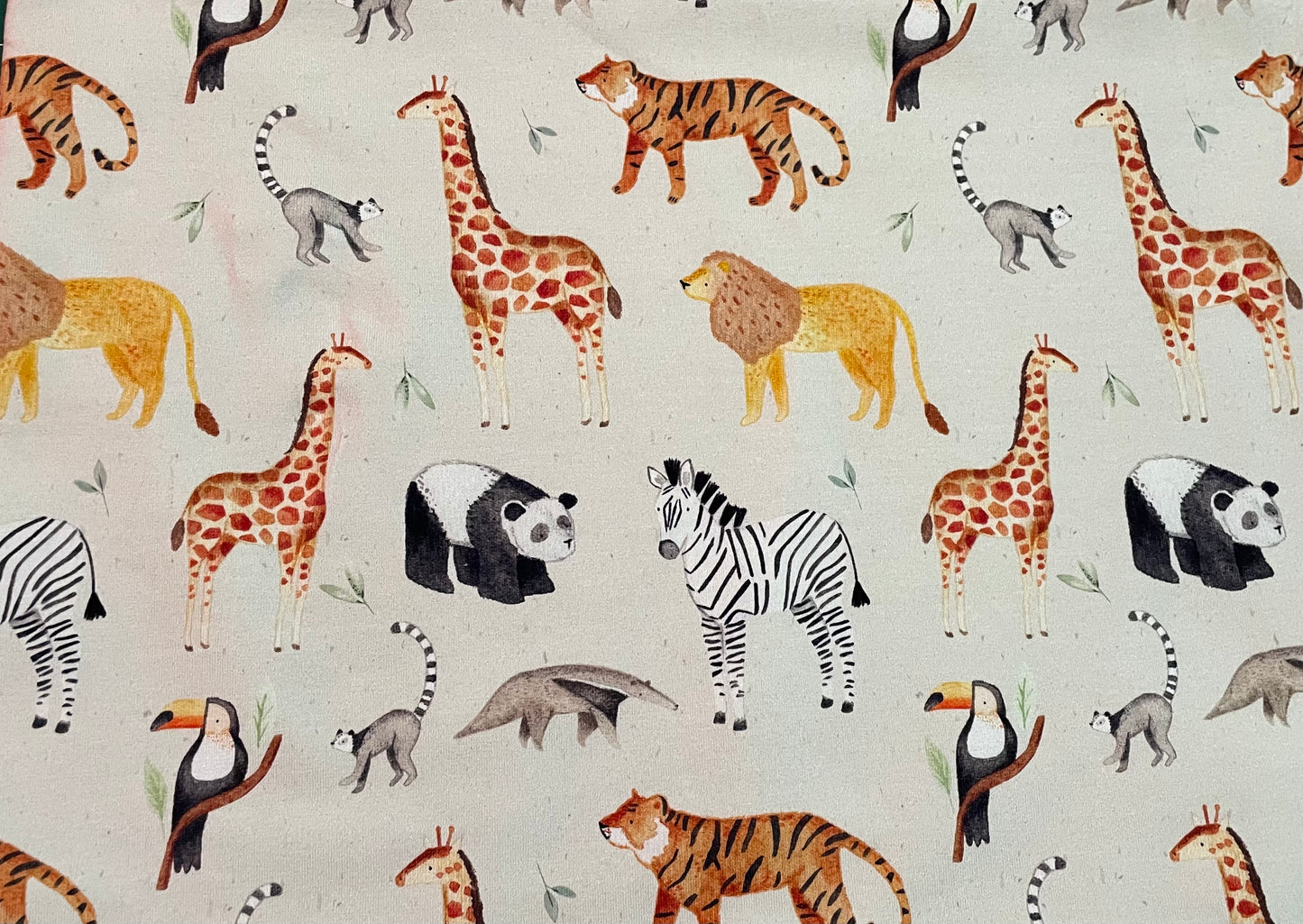 Safari walk