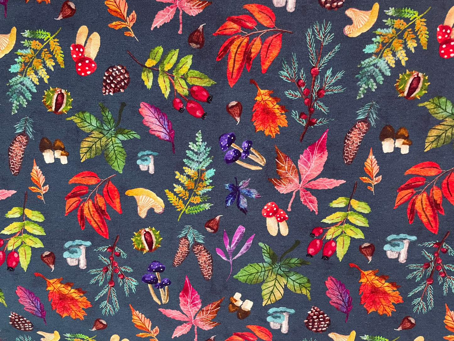 Autumn whisper 5y+