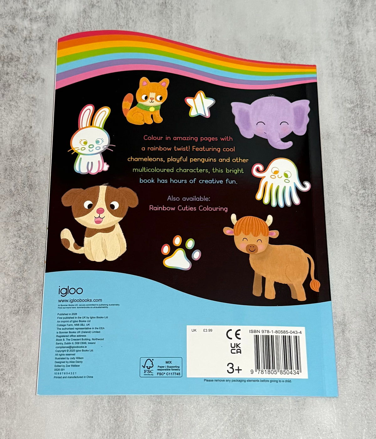 Rainbow animals colouring book