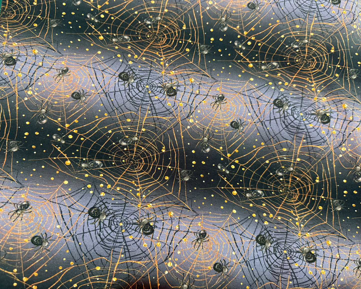 Spider web