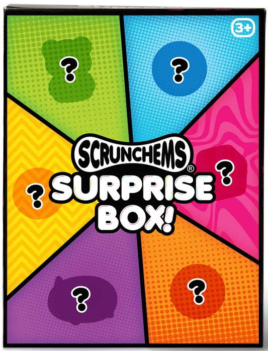 Scrunchems 6pc surprise box!