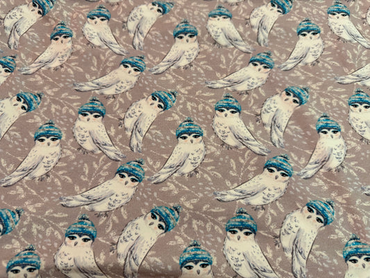 Winter owls