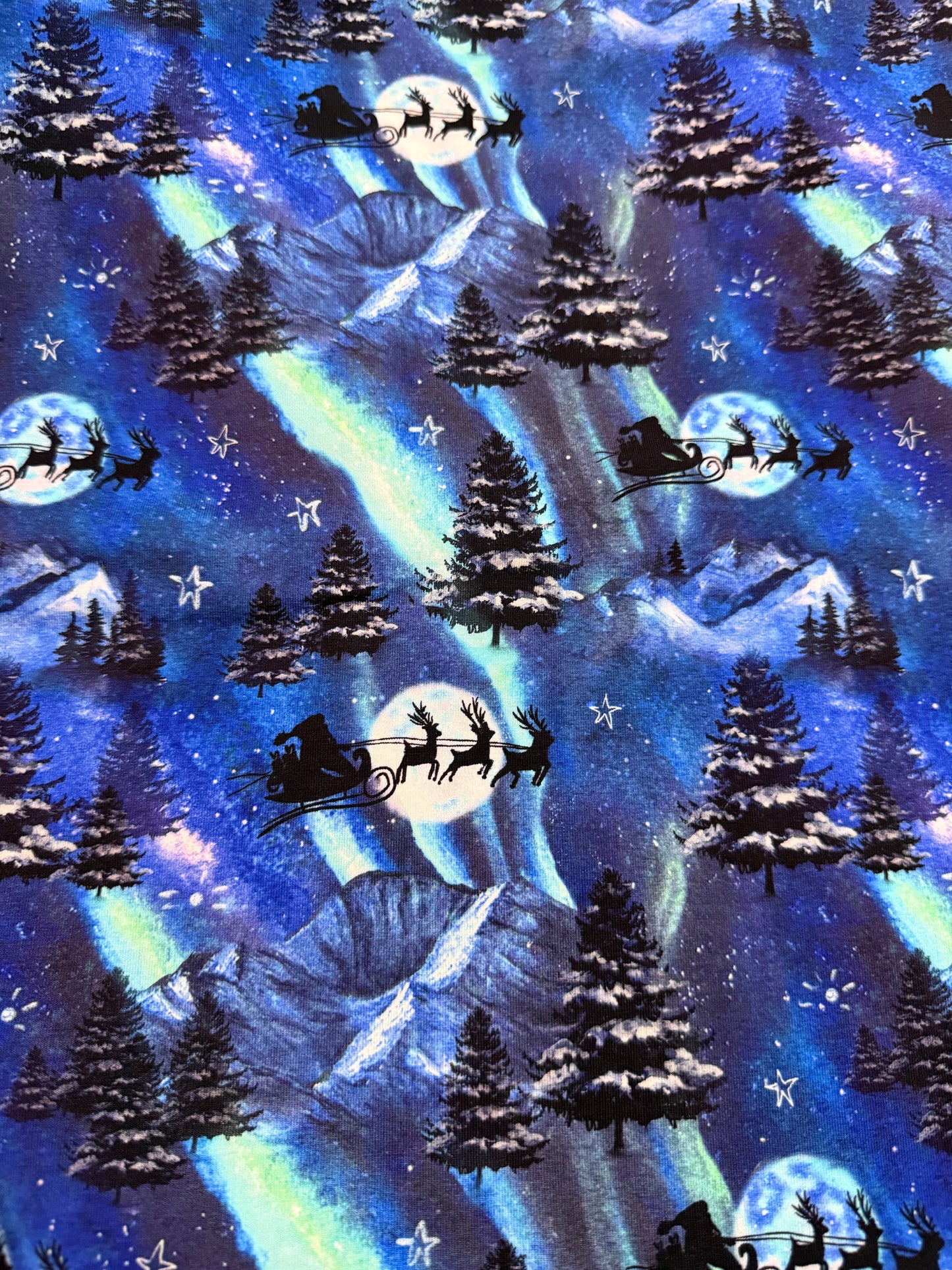 Northern lights sleigh ride