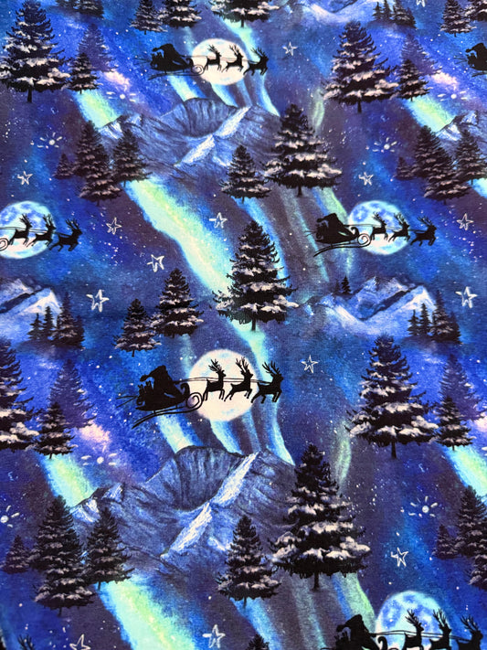 Northern lights sleigh ride