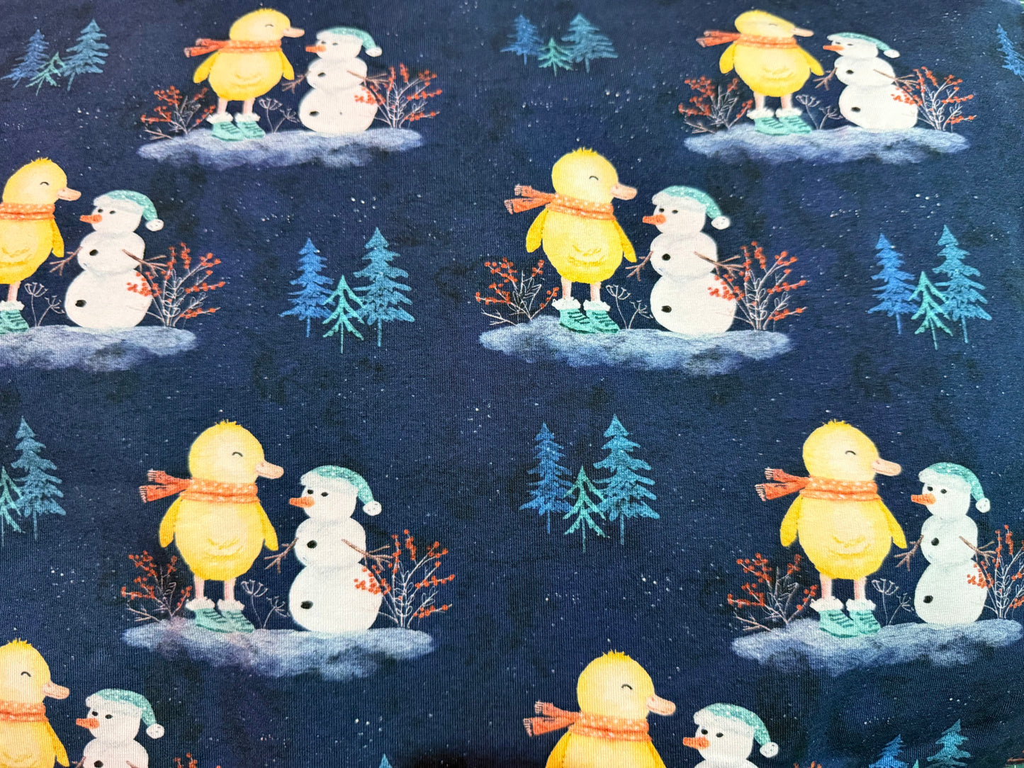 Duck and snowman