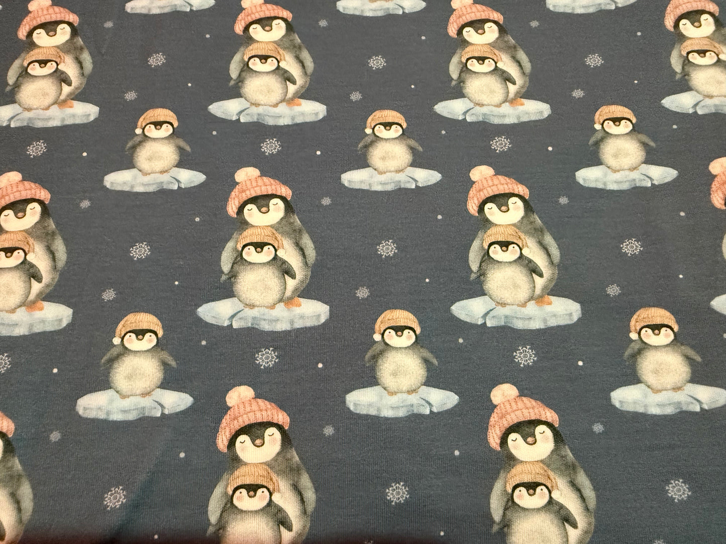 Momma and baby penguin
