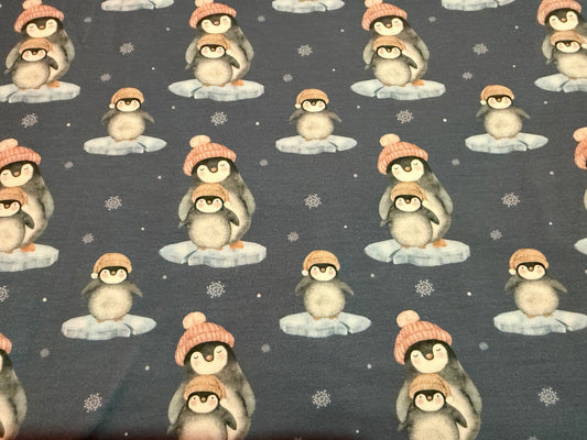 Momma and baby penguin