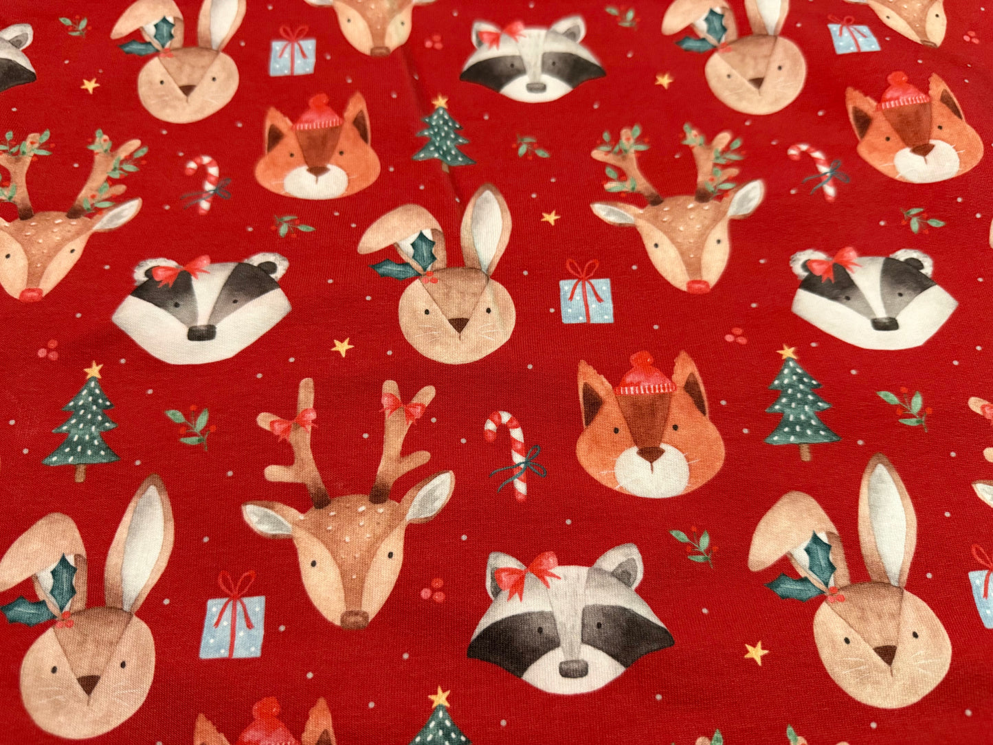 Red Christmas anibobs