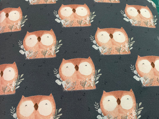 Owl