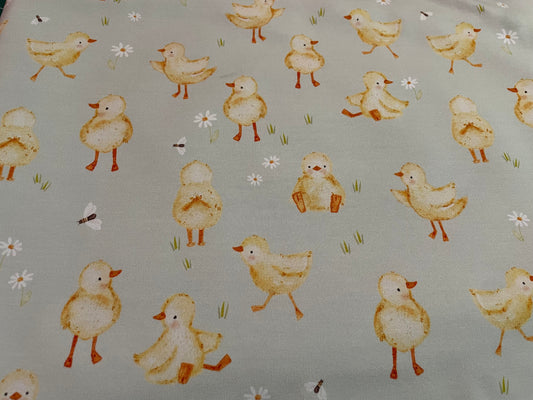 Little duckie