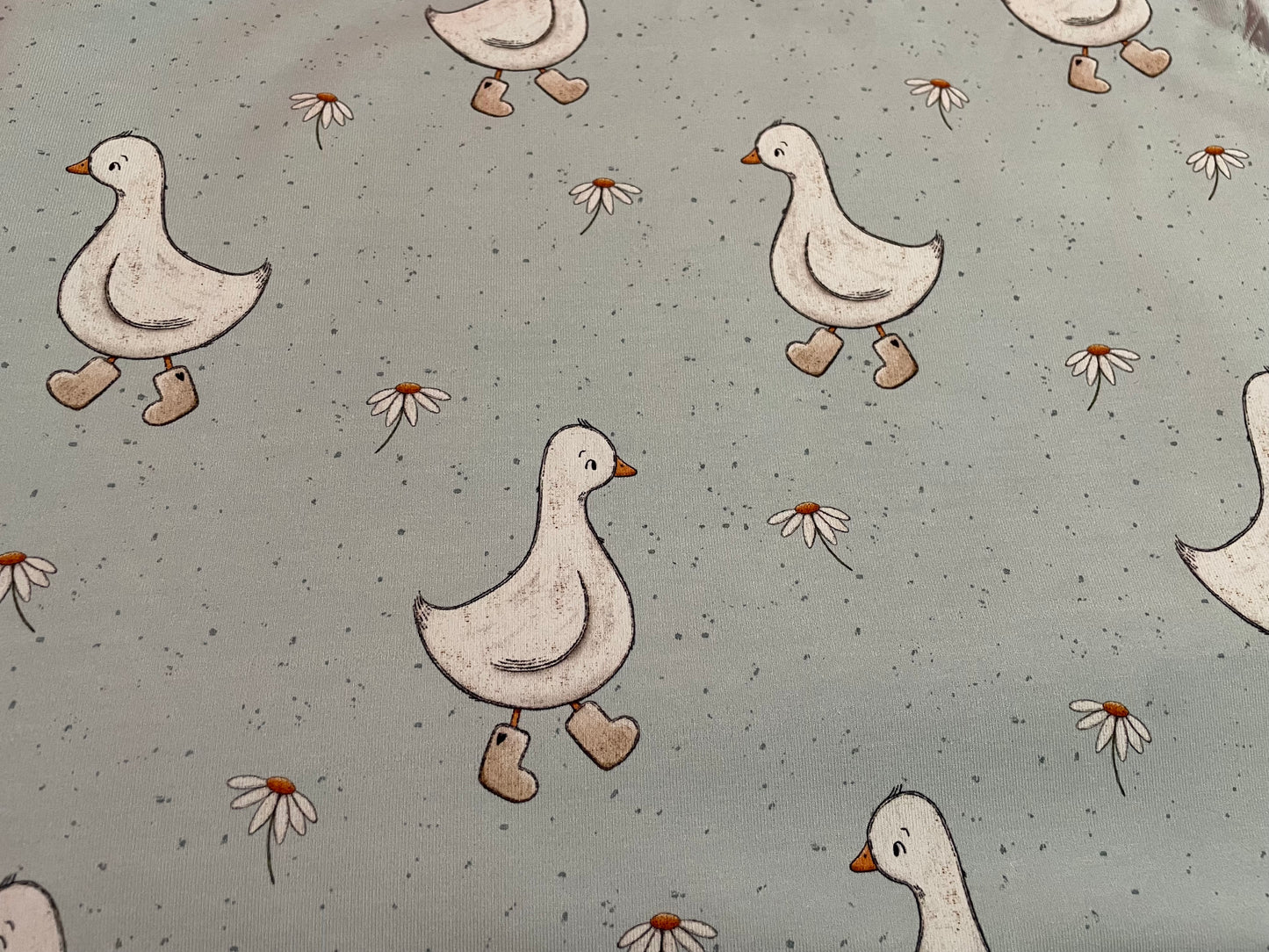 Puddle duck - sky