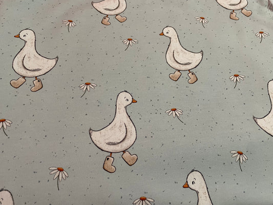 Puddle duck - sky