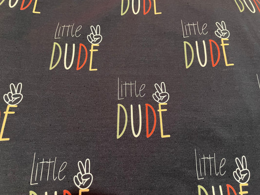 Little dude 5y+