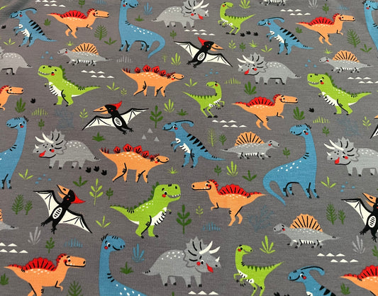 Dinos grey 5y+