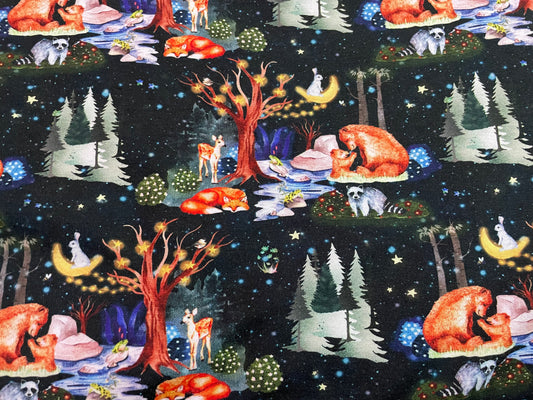 Forest in the night