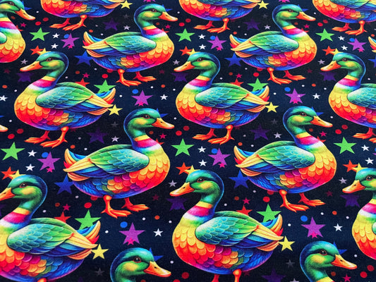 Rainbow ducks