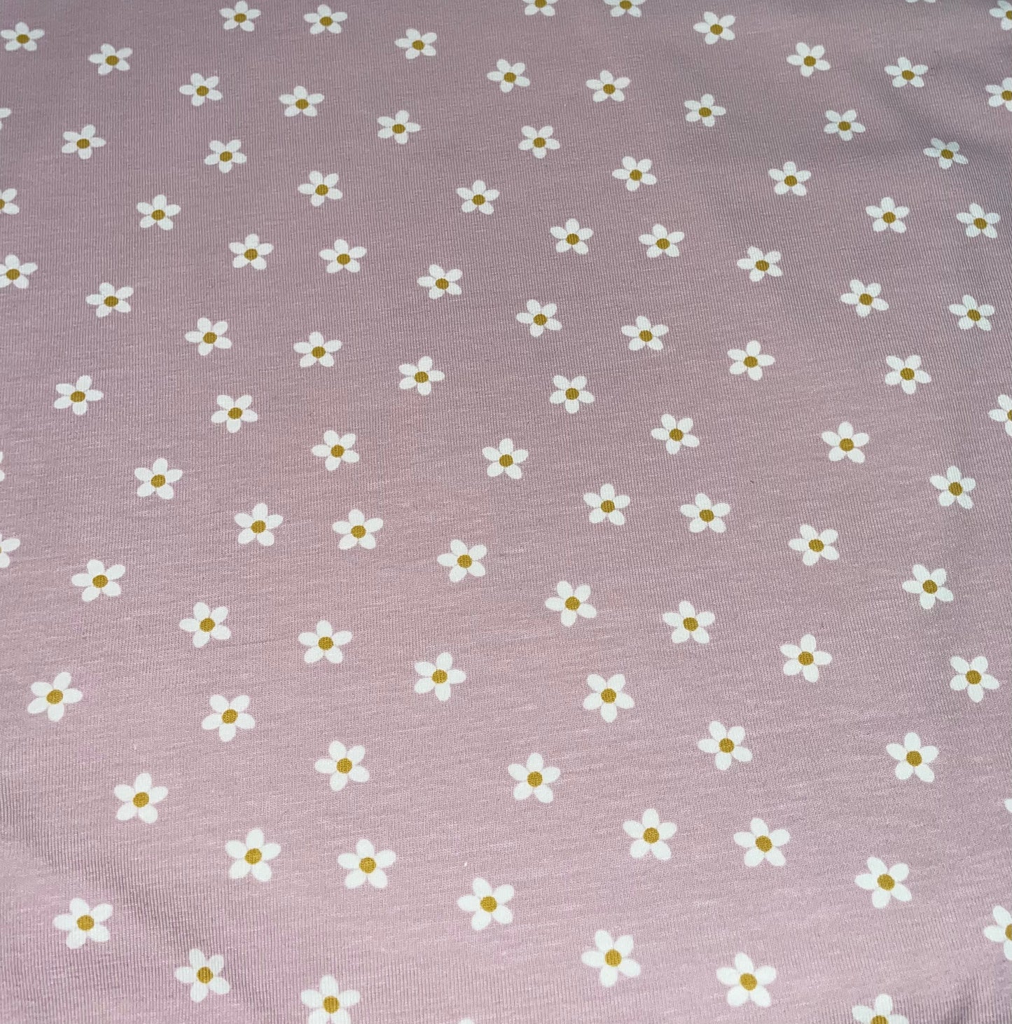 Daisies on pink