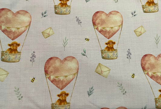 Coo hot air balloons