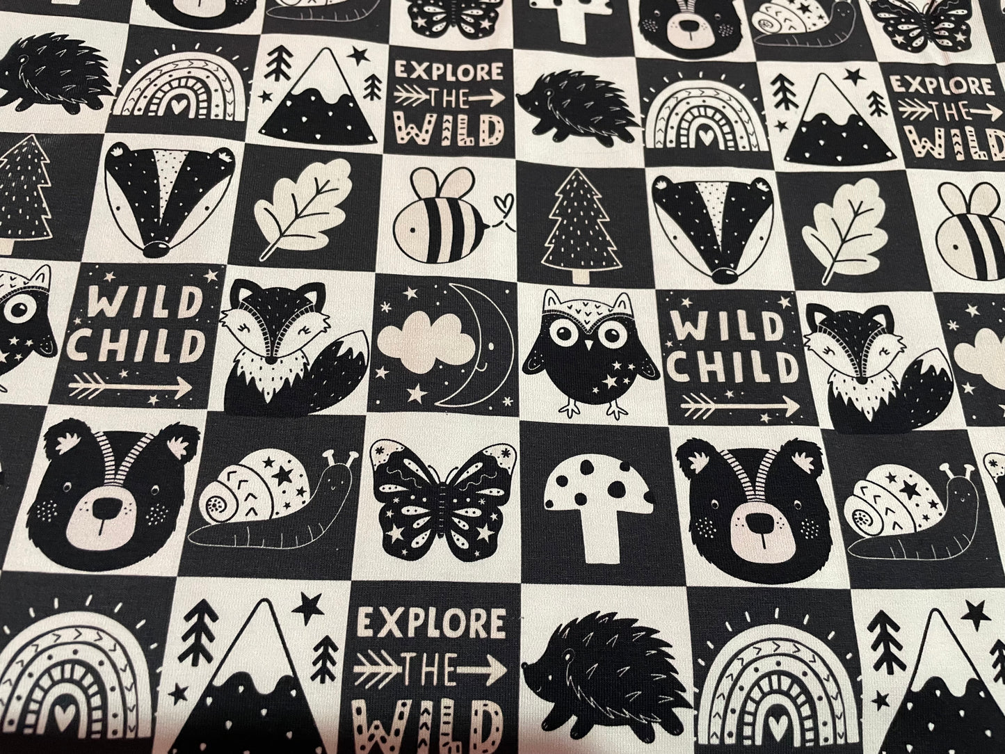 Explore the wild squares