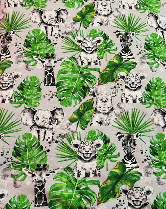 Safari on grey
