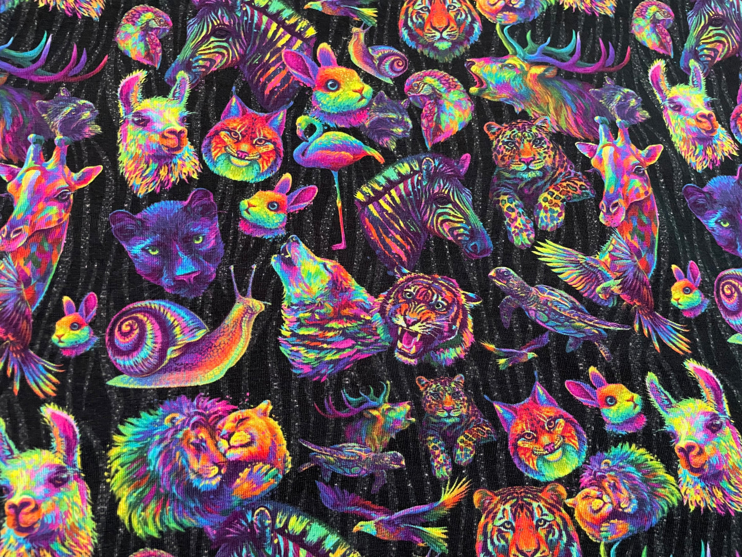 Multicoloured animals on black