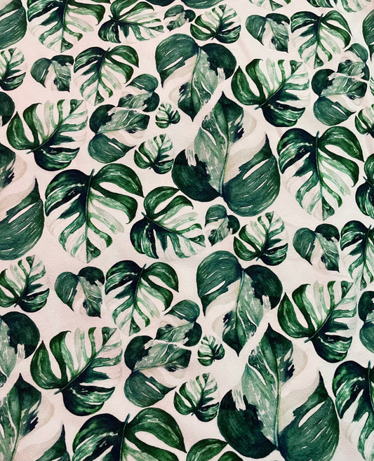 Monstera leaves