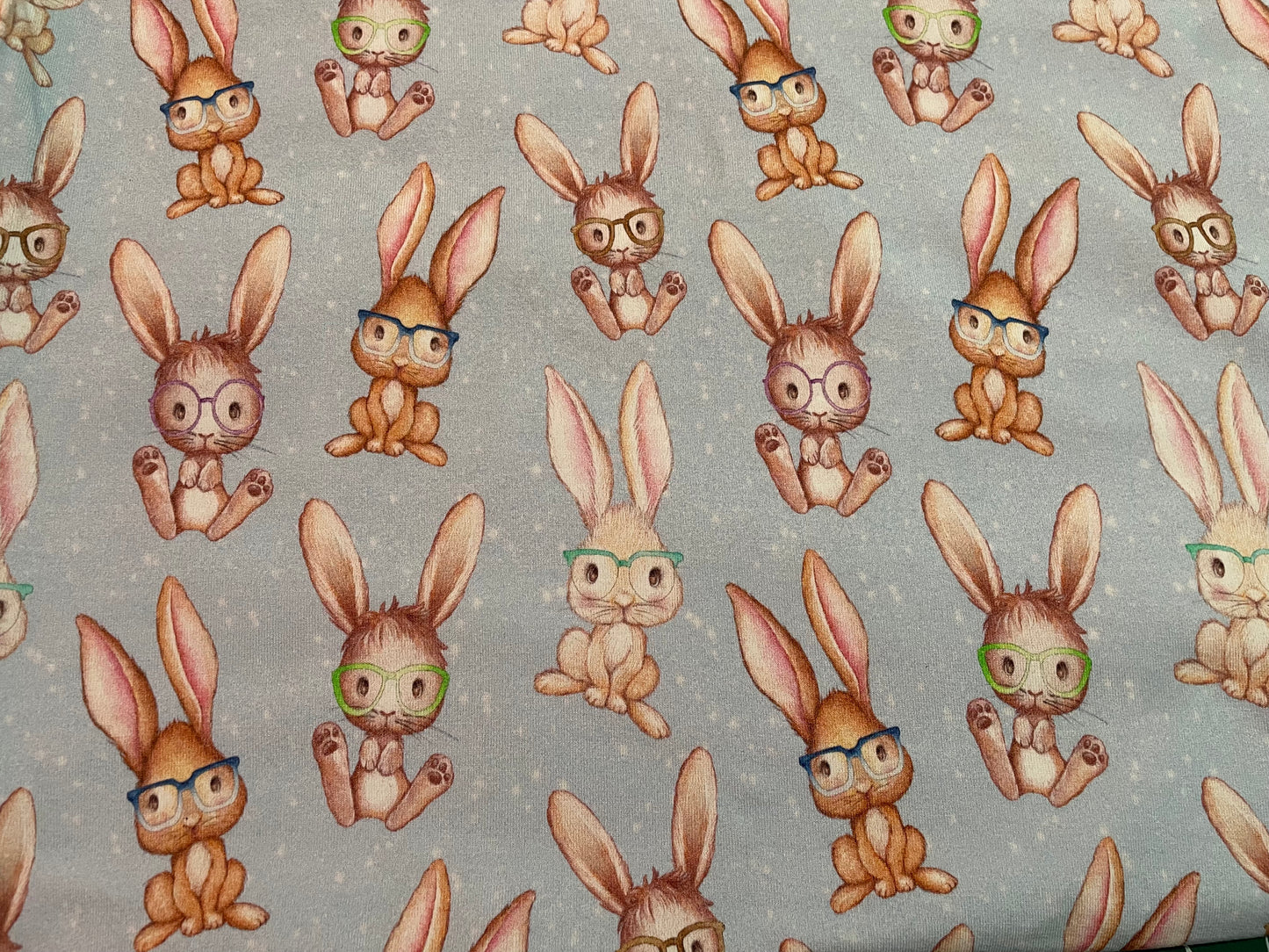 Bunnies in glasses