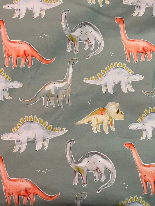 Dino forest 5y+