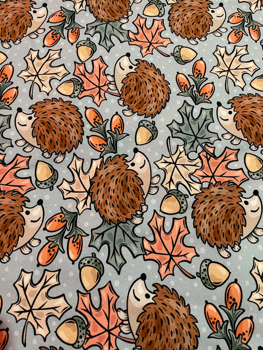 Autumn hedgehogs 5y+