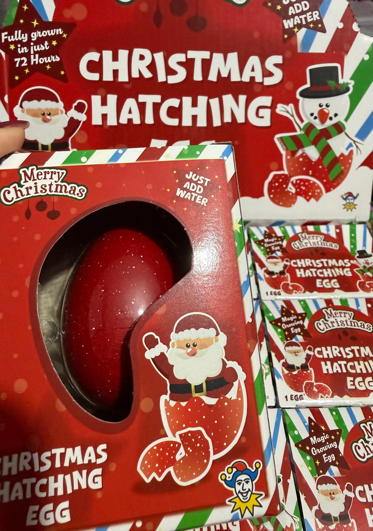 Christmas Hatching egg